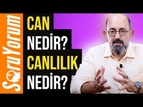 Video: Α2-makroglobulin ne anlama geliyor?