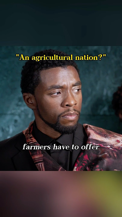 You think Wakanda is just a farming nation? #marvel #blackpanther #wakandaforever #mcu #superhero