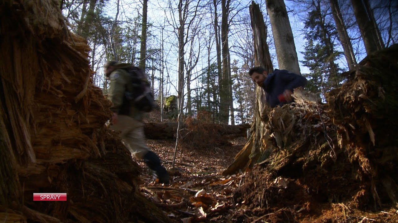 Vstúpili sme do Badínskeho pralesa