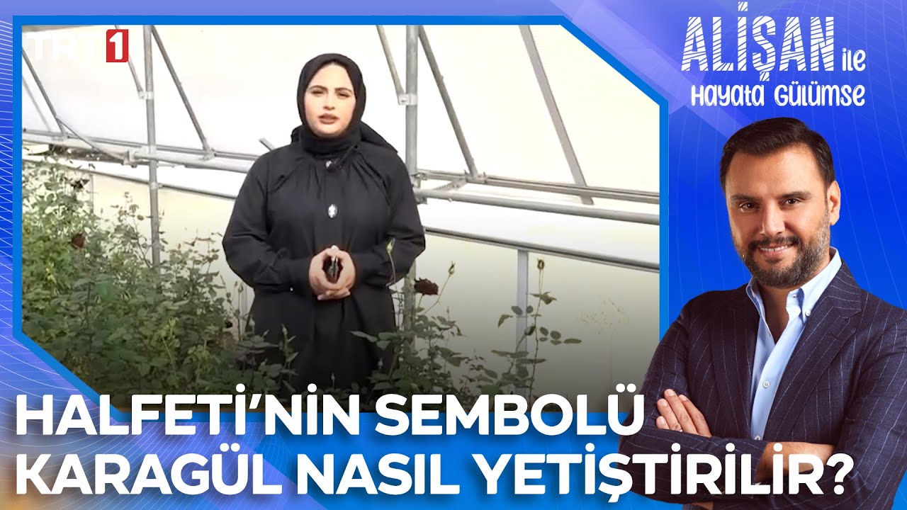 Halfeti'nin sembolü karagül nasıl yetiştiriliyor? | @AlisanileHayataGulumseTRT