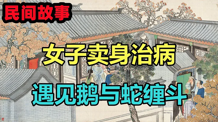 民间故事合集：女子卖身治病，遇见鹅与蛇缠斗 - 天天要闻
