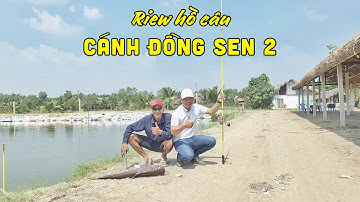 Review Hồ Câu Cá Cánh Đồng Sen 2 | Câu Cá Giải Trí | Chung Nguyễn Fishing