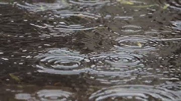 تلاوه جميلة ارح قلبك وسمعك اجمل حالات واتس اب استرخي قليلا 💛💚