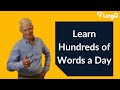 Vocabulary - Learn Hundreds of Words a Day