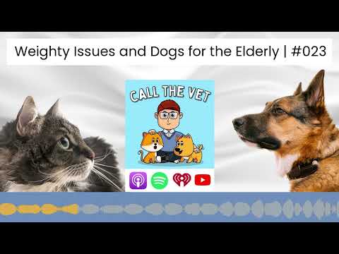 Weighty Issues and Dogs for the Elderly | #023