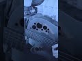 地球最後の告白を / kemu ( cover )