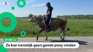 Lieke rijdt niet op een pony, maar op een koe