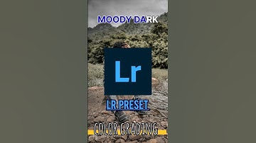 lightroom photo editing tutorial || lightroom preset || colour grading #mcstan #shorts #viral #edit