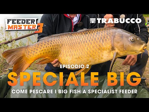 "SPECIAL BIG": COME pescare i BIG FISH a SPECIALIST FEEDER | Feeder Master S3E2 | @Trabucco Fishing