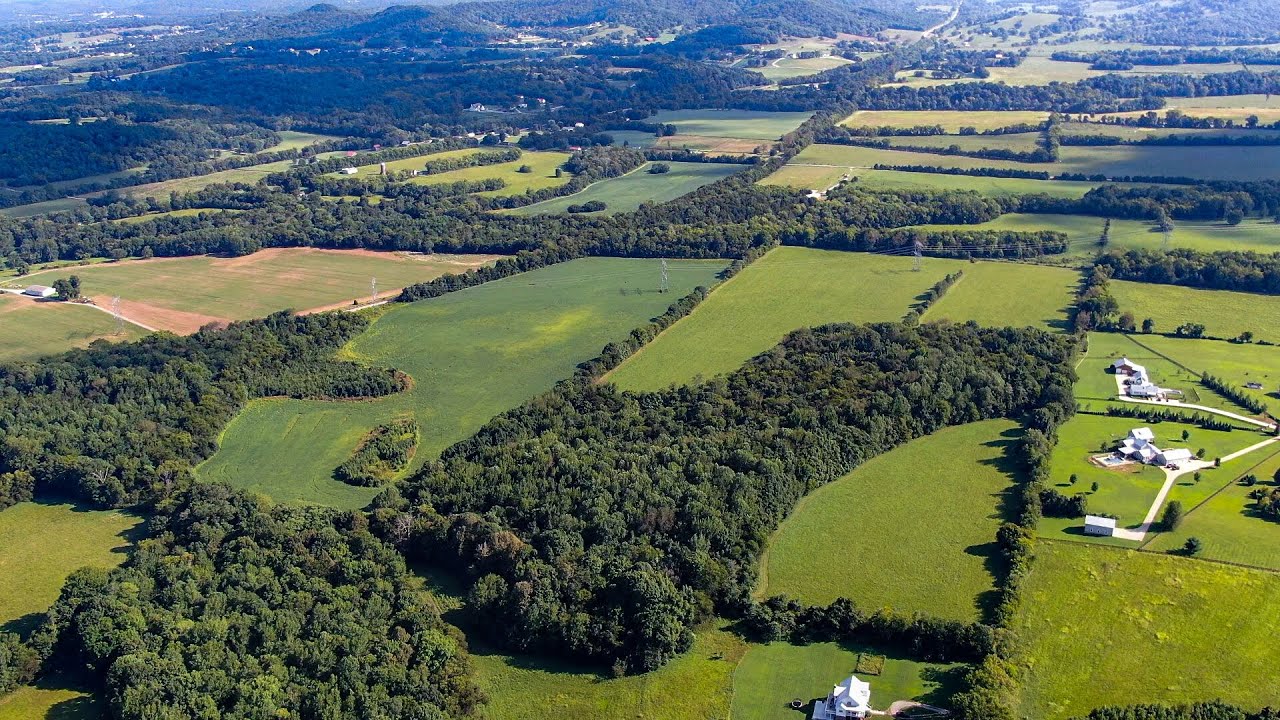 6909 Owendale Ln College Grove TN 37046 YouTube