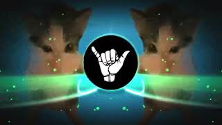 Dj Kicau Kicau Kicau Mania Slow Viral Tiktok  Song Maman Fvndy 2026 