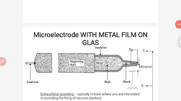 Examples of biopotential electrodes.18