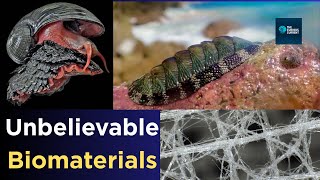Glass Skeletons, Iron Shells, and Magnetite Teeth: Meet Nature’s Strangest Creatures