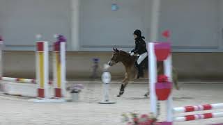 Suhonen Nette Snälla Lourdes 6070Cm Stable Nova 5.-6.10.2019