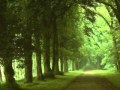 سورة القلم يوسف كالو Surat Al Qalam Yousef Kalo 