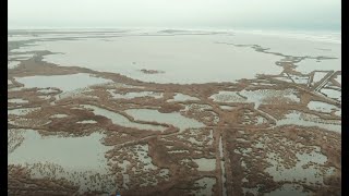 Delta del Ebro - Un paraje excepcional con problemas de erosion