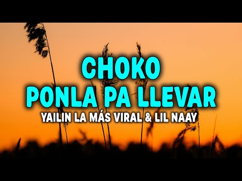 YAILIN LA MÁS VIRAL FT. LIL NAAY - CHOKO PONLA PA LLEVAR (Letra)