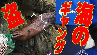 【化物降臨】優勝総額10万以上の大会に参加してみた。【フカセダービー】 #2