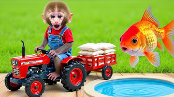 Monkey Nana drives a tractor loaded with food sacks and encounters a brick wall on the village road