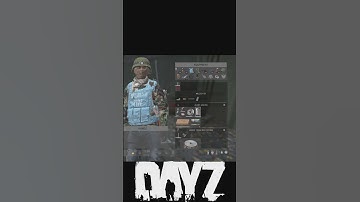 Dayz! Tetris... Inventory Issues #dayz #dayzgamers #dayzmod #gaming #gameplay