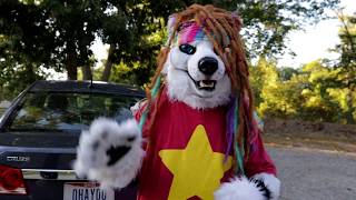 Furries Sell Used Cars