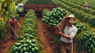 De esta forma es como se cosechan y se procesan miles de Aguacate para la fabricación de Guacamole.