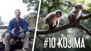 Saru - Singes du Japon - épisode 10 - Kojima 幸島