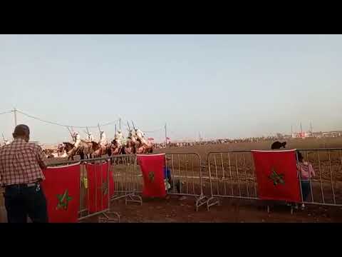 من موسم الزوكش إقليم سطات سربة اولاد سي بنداود بقيادة المقدم الشاب يونس المراباح