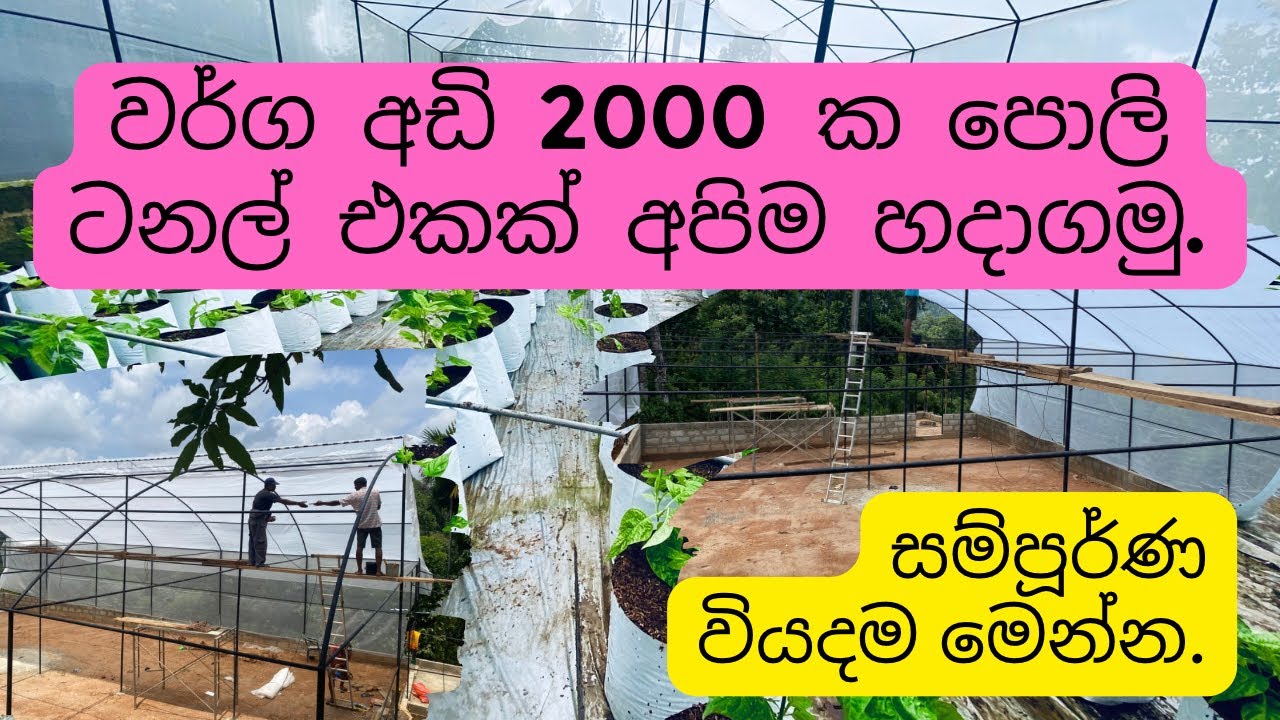 වර්ග අඩි 2000 ක පොලි ටනල් එකක් හදන්න යන වියදම.