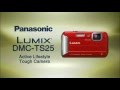 Panasonic Lumix DMC FT25