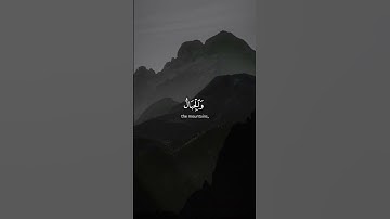 [ أَلَمْ تَرَ أَنَّ اللَّهَ يَسْجُدُ لَهُ ] - سورة الحج -  الشيخ | ياسر الدوسرى .