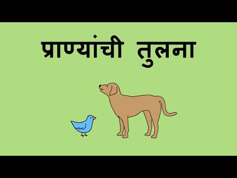 प्राण्यांची तुलना - Comparing Animals (Marathi)