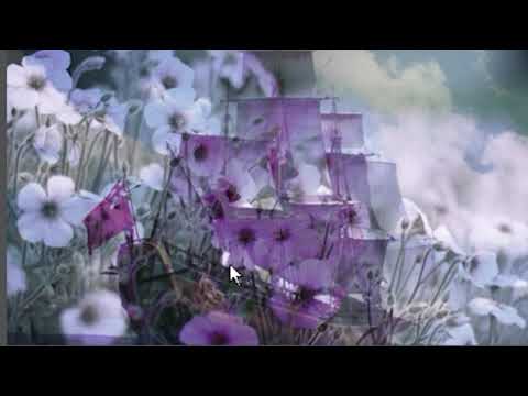 Эффект Настроить подложку Premiere Pro