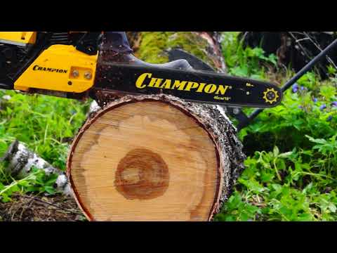 Makita DUC353 vs Champion 256-18