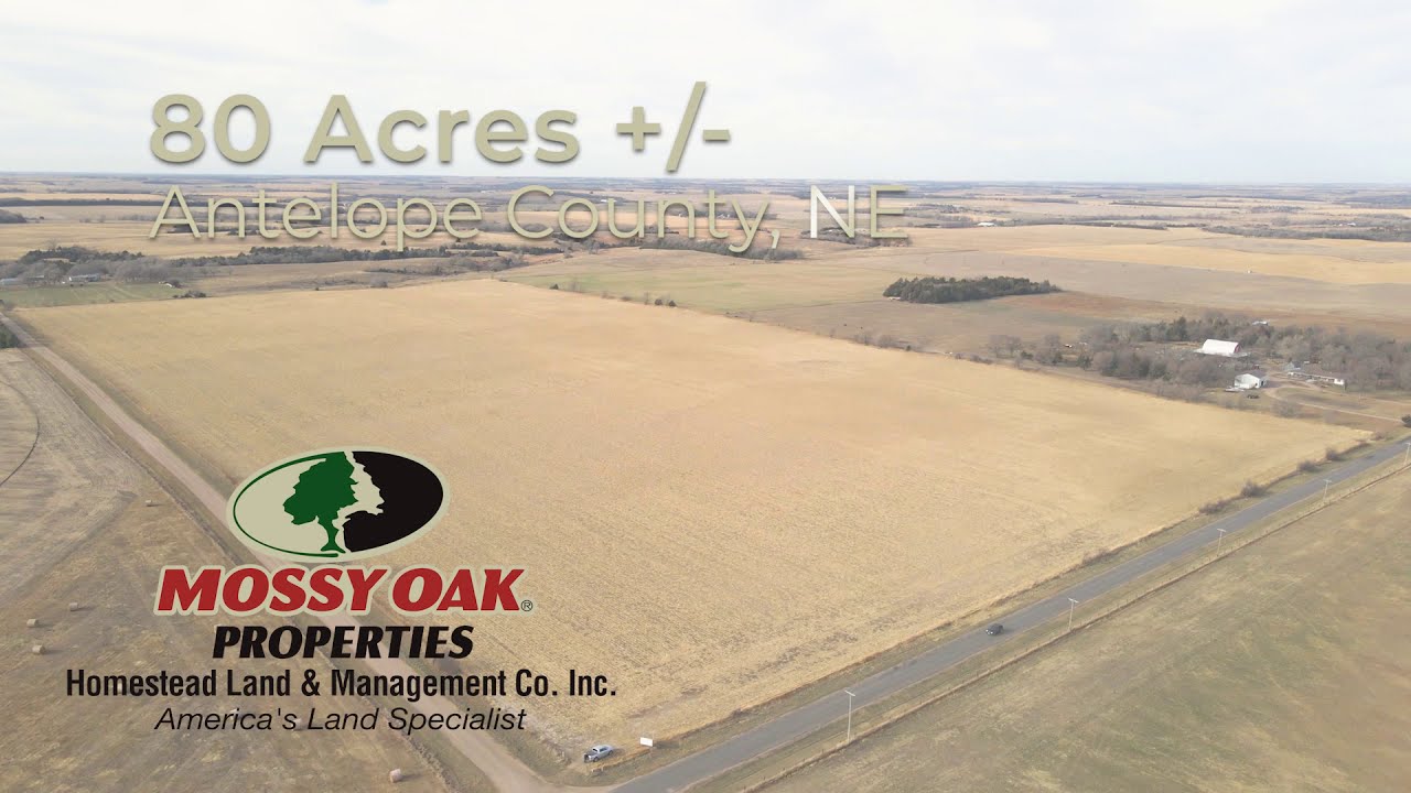 80 Acres (+/) in Antelope County, NE YouTube