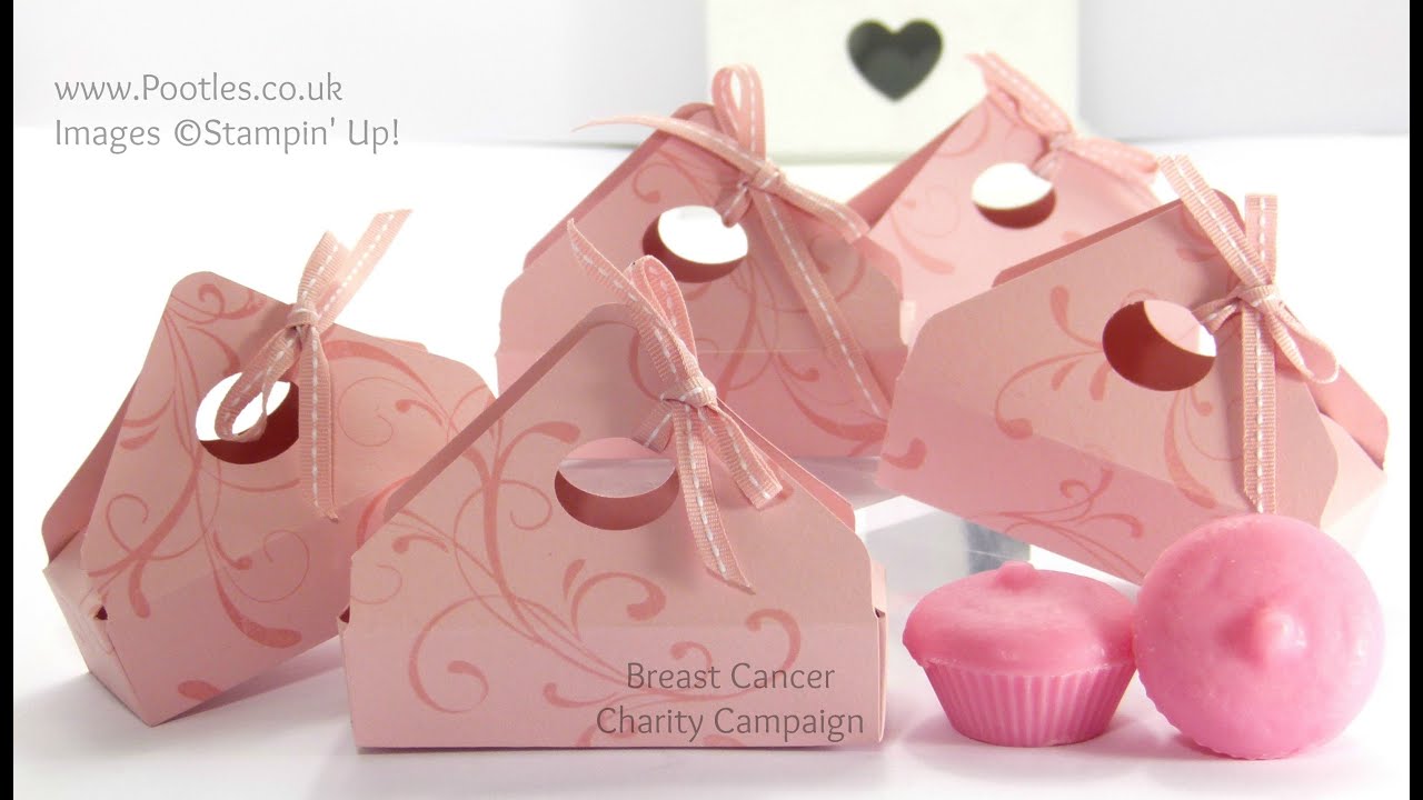 Руководство по изготовлению картонной коробки для конверта кампании по борьбе с раком груди