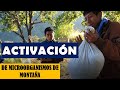 ACTIVACIÓN DE MICROORGANISMOS DE MONTAÑA | BIOFERTILIZANTE LÍQUIDO | RESUMEN DE TALLER