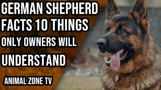 German Shepherd Dog Facts: 10 Things Only Owners Will Understand