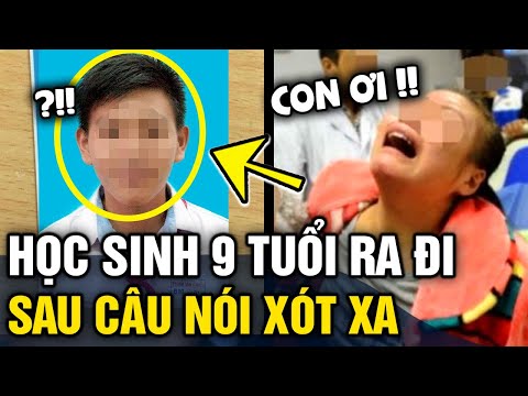 Video: Chủ đề Divi giá bao nhiêu?