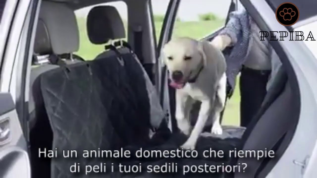 TELO PVC PROTEZIONE SEDILI POSTERIORI AUTO PER CANI O TRASPORTO MERCE