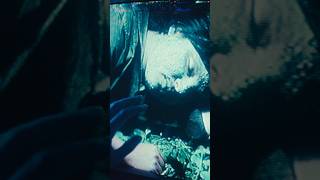 New music for Dayseeker and Emarosa fans