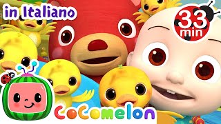 Cerca i pulcini | CoComelon Italiano - Canzoni per Bambini