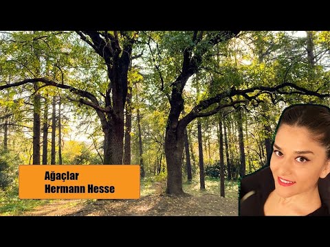 "Ağaçlar"-Hermann Hesse- Bolüm 1