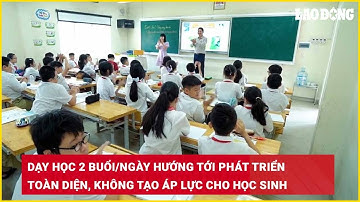 Dạy học 2 buổi/ngày hướng tới phát triển toàn diện, không tạo áp lực cho học sinh| Báo Lao Động