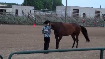 Showmanship Training Tips