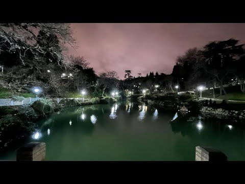 Beşiktaş || Yildiz