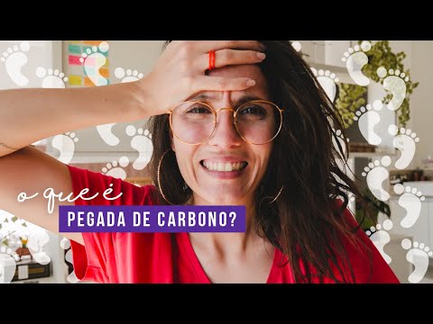 Vídeo: Dicas Importantes Para Reduzir Suas Emissões De Carbono Ao Viajar