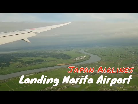 Japan Airlines Landing