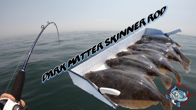 Fluke (Flounder) Rods! Nexus VS Skinner Dark Matter 