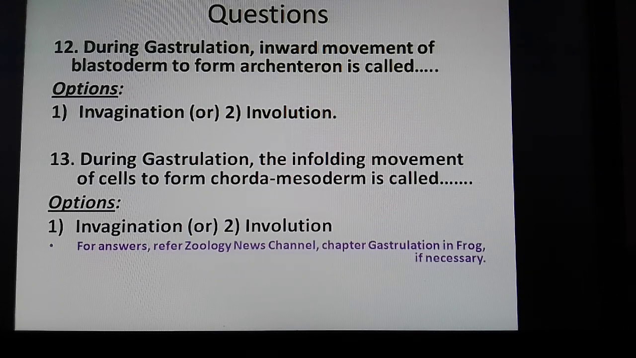 Questions 12 & 13. Zoology News.